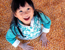 Corn Bin