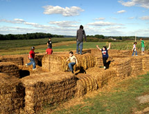 Hay Bale Maze