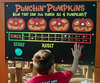 Punchin' Pumpkins