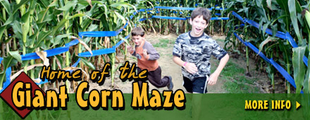 Giant Cornfield Maze - Yorkville, TN